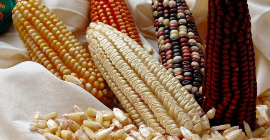 FpoCorn