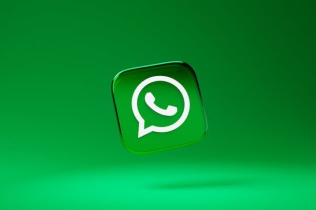 updates whatsapp logicalshout