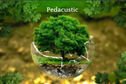 Pedacustic