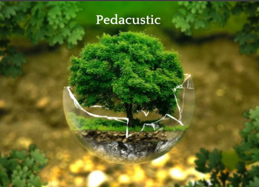Pedacustic